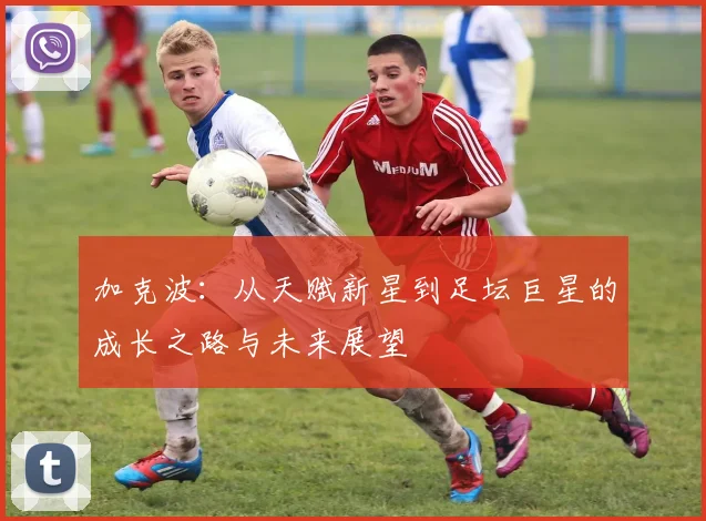 加克波：从天赋新星到足坛巨星的成长之路与未来展望