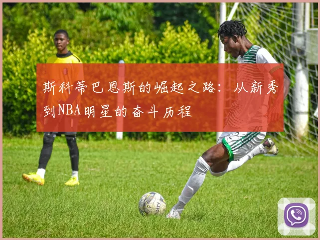 斯科蒂巴恩斯的崛起之路：从新秀到NBA明星的奋斗历程